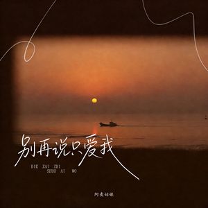 别再说只爱我