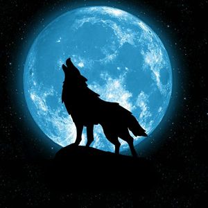 妈妈的手（翻自 王永强）