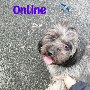 蓦然回首