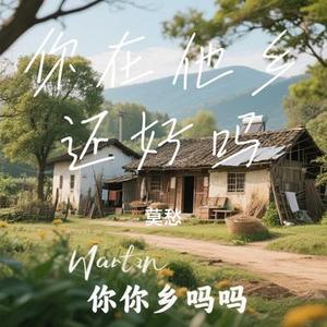你在他乡还好吗 (Cover 光头李进)