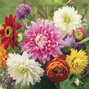 Feuer unter meiner Haut