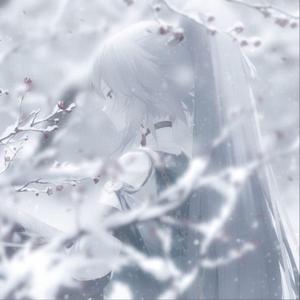 i'm not perfect (feat. mui)