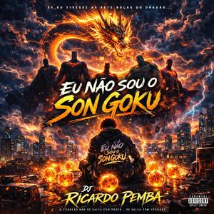 EU NÃO SO O SON GOKU