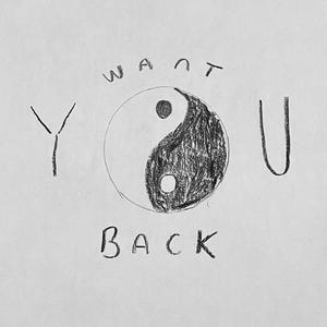 Want You Back