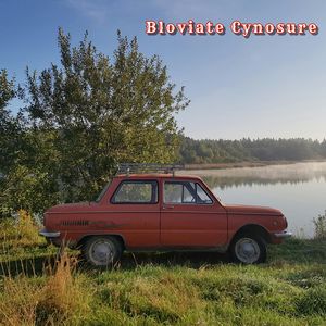 Bloviate Cynosure