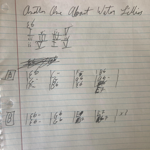 Another One About Water Lilies