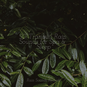 Echoes of Rust and Concrete