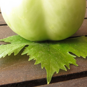 Ntro (feat. Koichi Tanehashi)