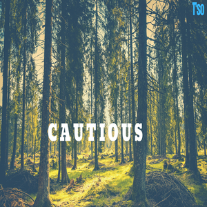 Cautious