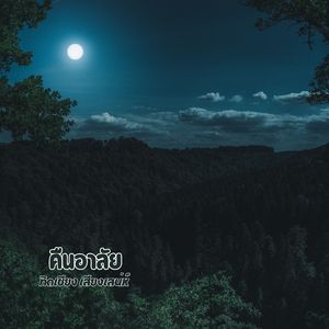 คืนอาลัย