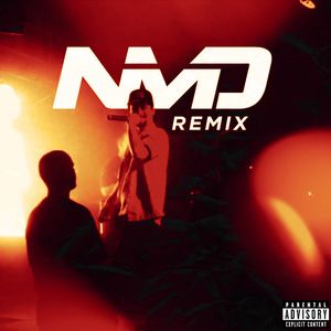 TNPOs (NMD Remix)