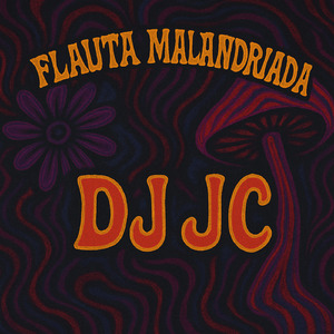 Flauta Malandriada (Remix)