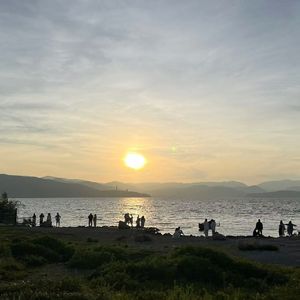 拉过勾的（降调版）