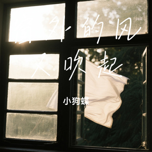 窗外的风又吹起