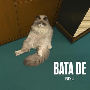Bata De