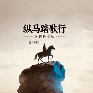 纵马踏歌行（阳刚撕心版）
