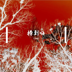 捞到嗨