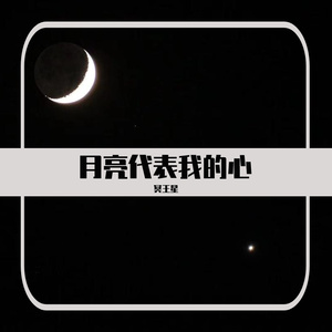 月亮代表我的心