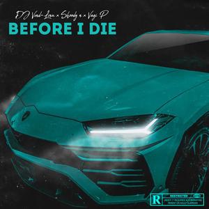 Before I Die (feat. Shoddy n & Vagi P)