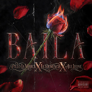 Baila