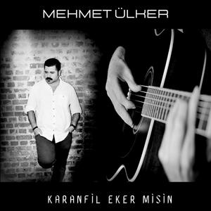 Karanfil Eker Misin