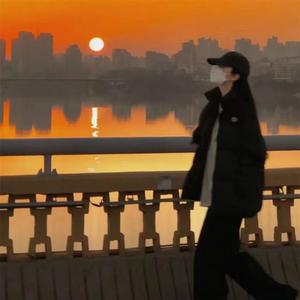 日不落（DJ版）