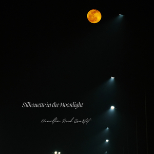 Silhouette in the Moonlight