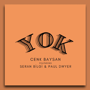Yok (feat. Seran Bilgi & Paul Dwyer)