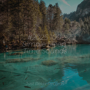 Silent Seraph's Soar