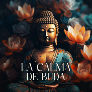 Ilumina tu Camino