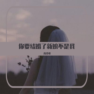 你要结婚了新娘不是我（翻自 高冷瑾）