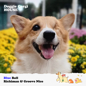 Blue Ball