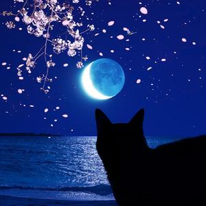 眩しくて 視えない