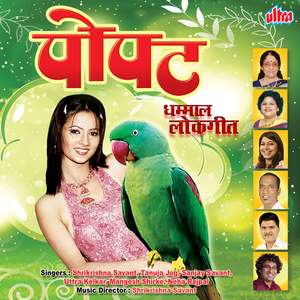 Gavakadchi Maina Pahije