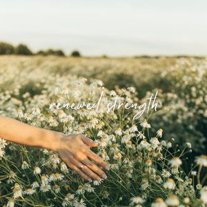 Healer (Instrumental)