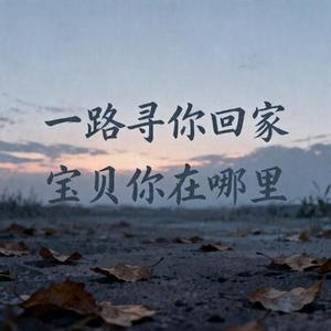 失孤 (宝贝你在哪里)