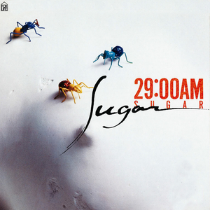 ナイト・ポリス