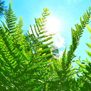 명상 (행복한 자각)