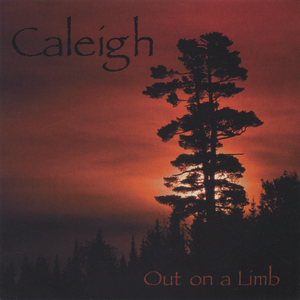 Tailwagger's Jig/Lenore's Ramblin' Reel