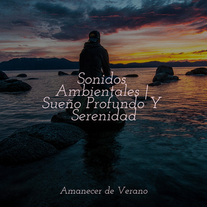 Los Susurros del Crepúsculo Despiertan