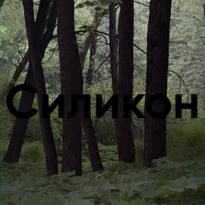 Силикон