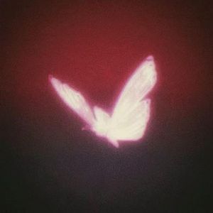 梦的先行曲/pord.Lisure