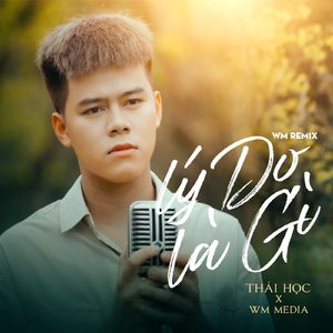 Lý Do Là Gì (WM Remix)