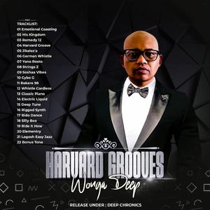 bido dance (feat. Stearcado steaks)