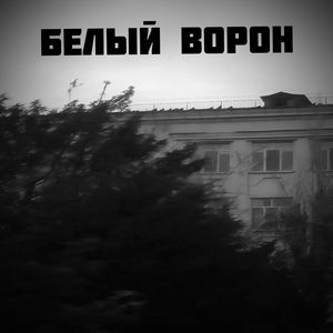 Белый ворон