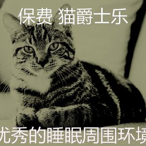 温和小猫梦想