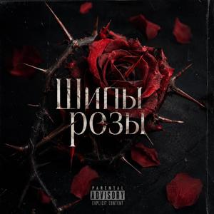Шипы розы