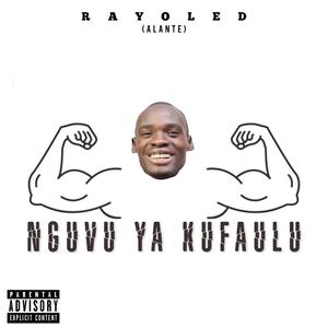 Nguvu ya kufaulu