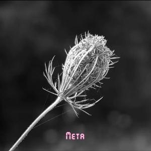 Meta