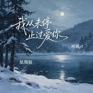 我从未停止爱过你（氛围版）